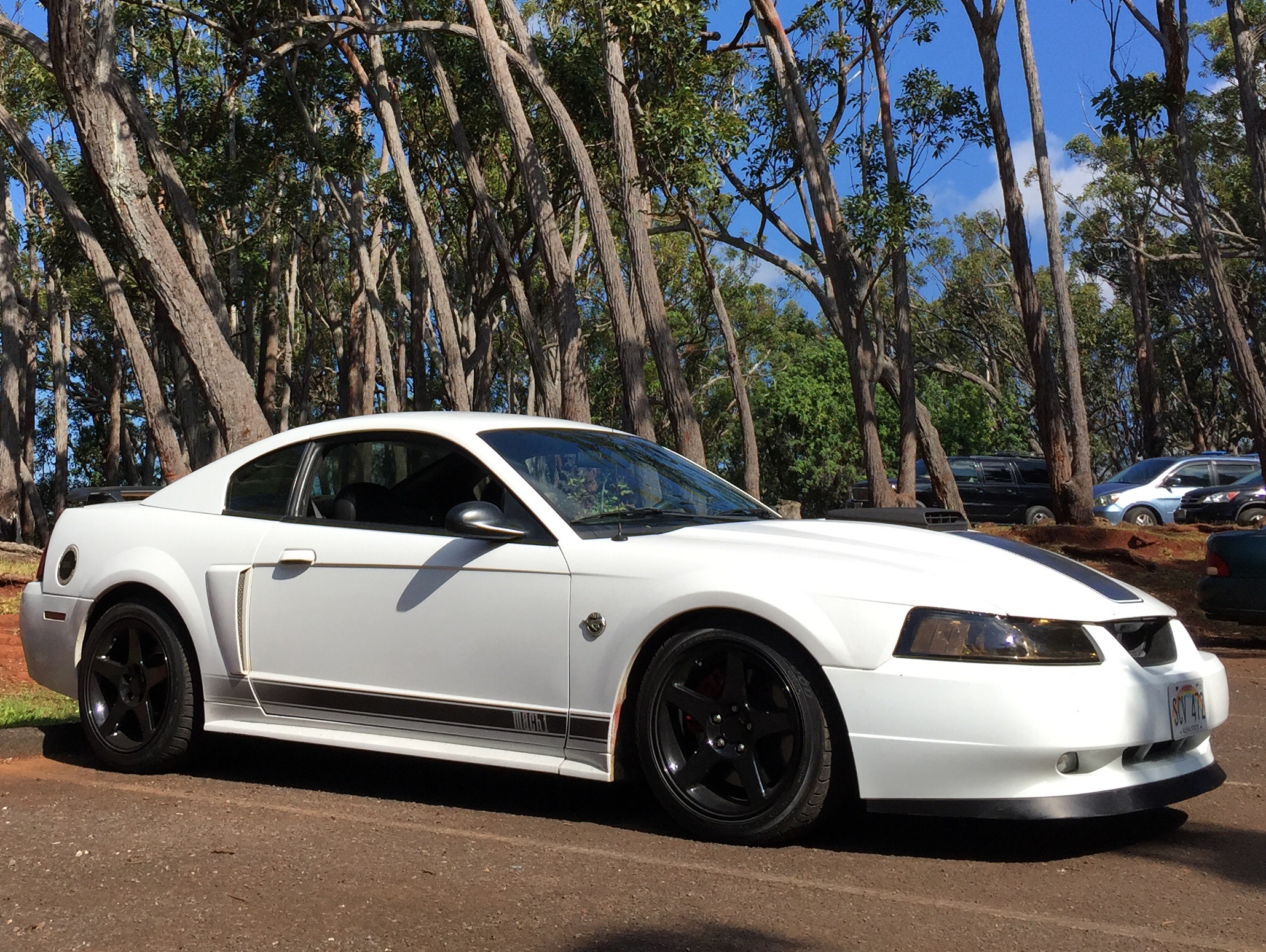 White 2003&ndash;2004 Ford Mustang Mach 1 New Edge coupe with black wheels and hood stripe parked among tall trees.