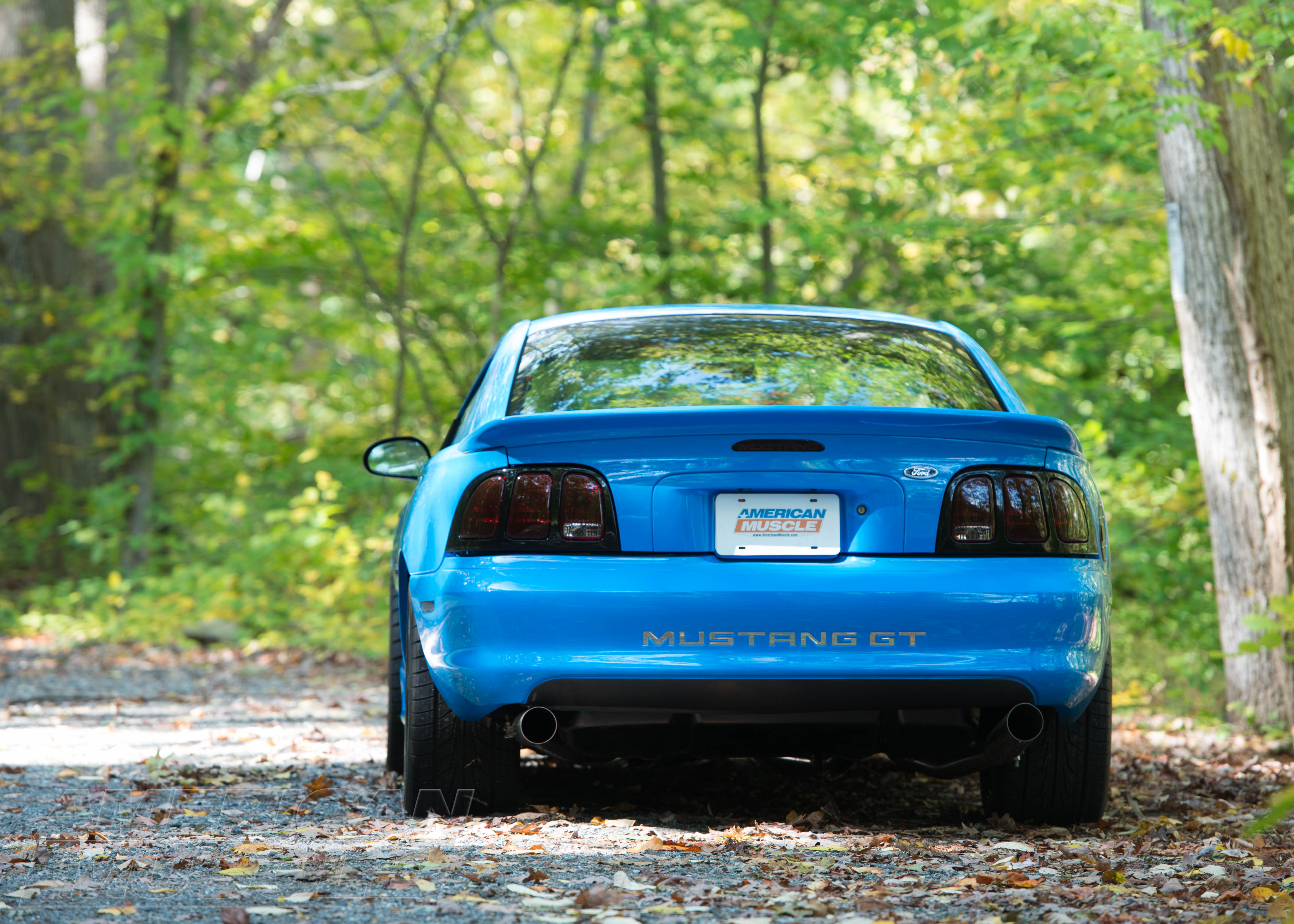1994-1998-gt-mustang-with-smoked-tail-lights.JPG
