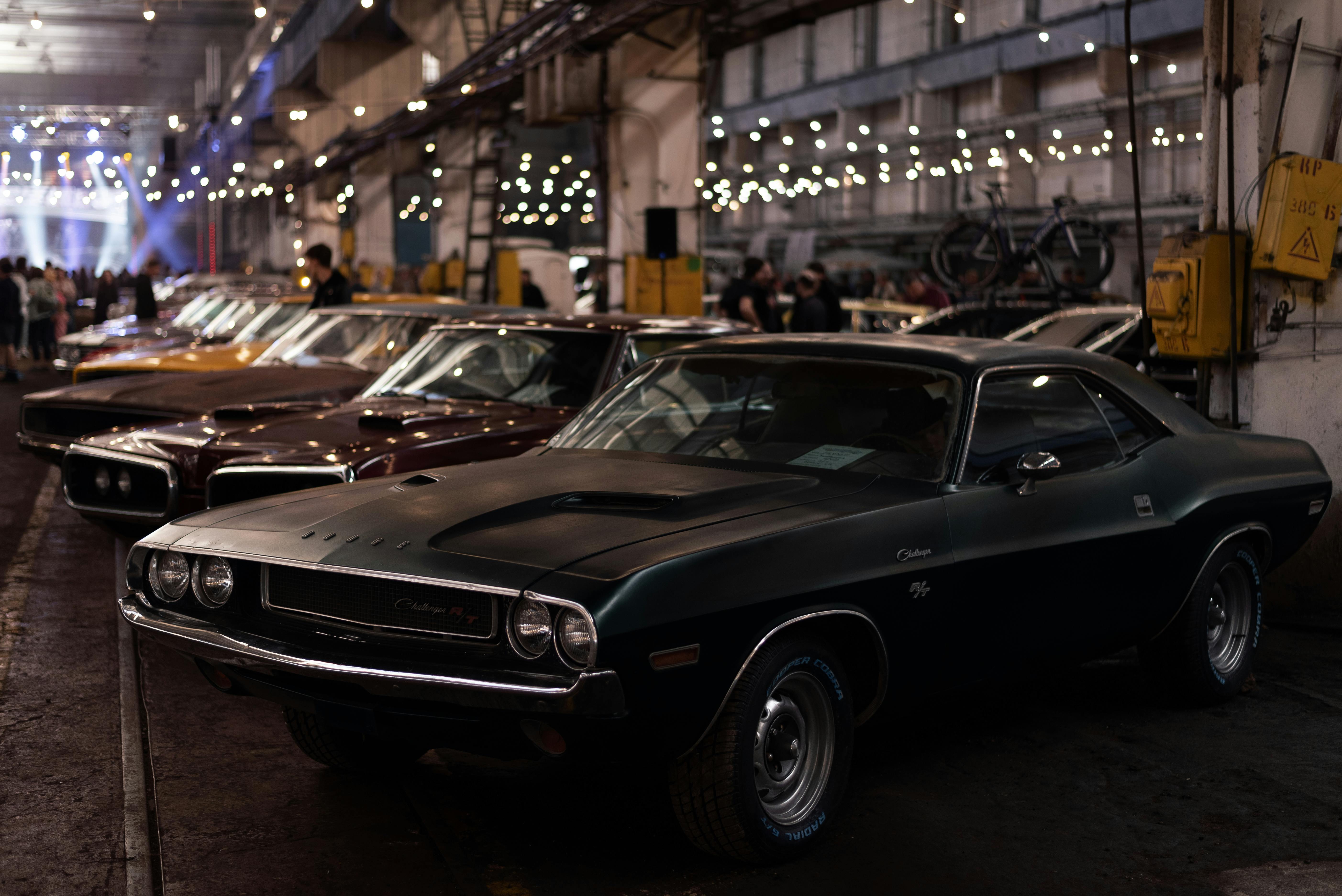 Classic Dodge Challenger muscle car on display indoors with other vintage muscle cars lined up under string lights.