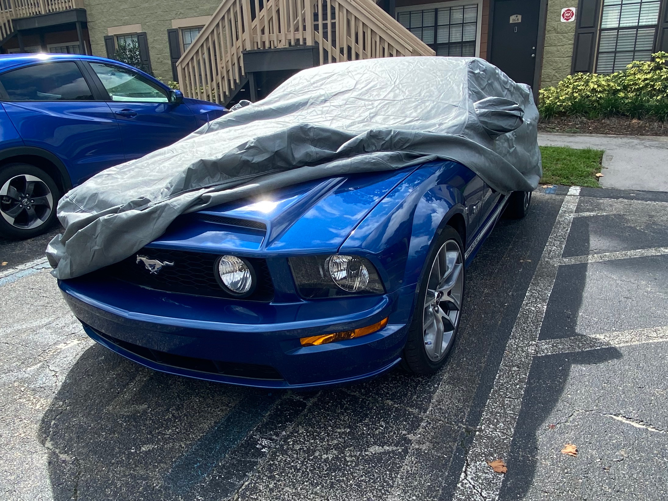 What's the Best Ford Mustang Car Cover for Your Particular Storage Setup?
