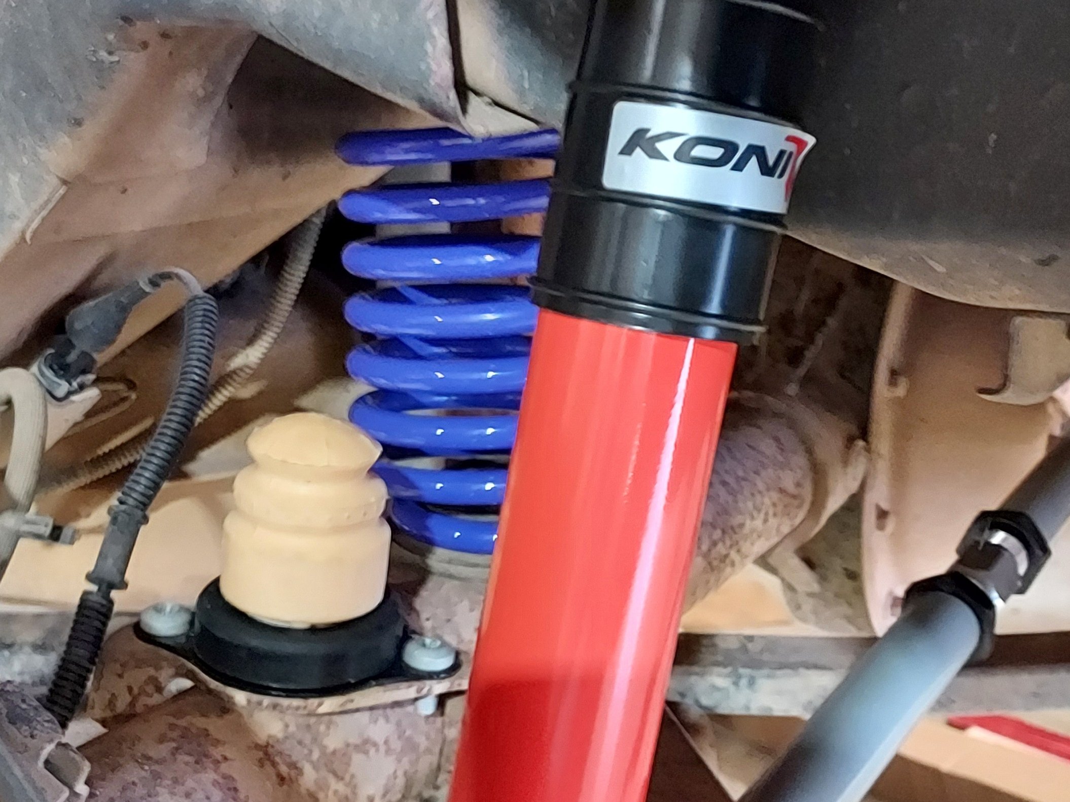 Performance Shocks Buying Guide