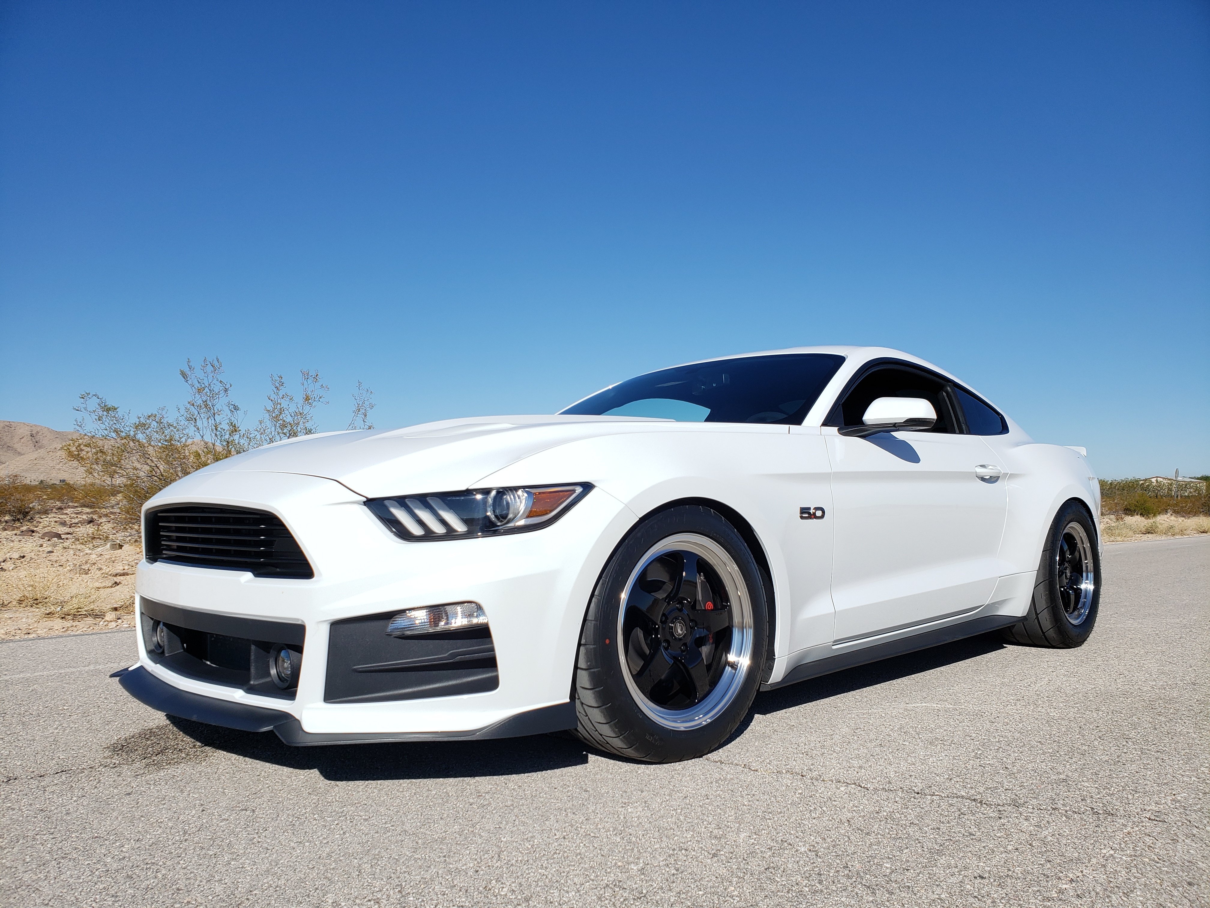 All-Season Tires vs Performance Tires: Which is Best for Your Car?