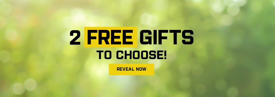 Promo Banner