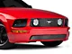 Modern Billet Billet Grille; Polished (05-09 Mustang GT)