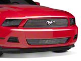 Modern Billet Lower Billet Grille; Polished (10-12 Mustang V6)