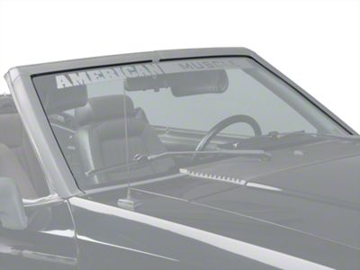 Windshield Seal Weatherstripping Kit (89-93 Mustang Convertible)