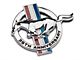 Ford 35th Anniversary Fender Emblem; Driver Side (1999 Mustang)