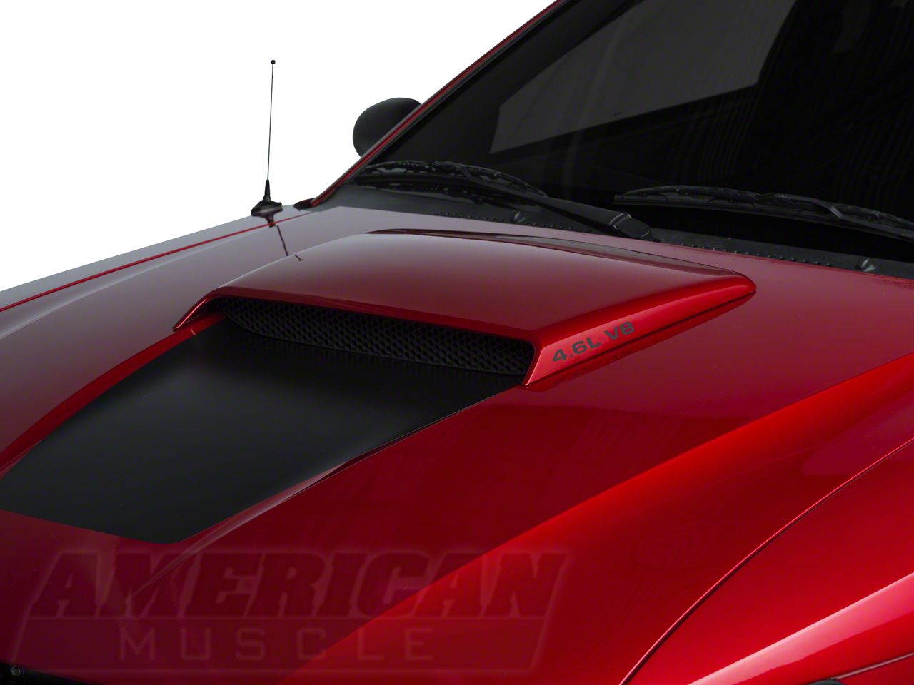 SEC10 Mustang 4.6L V8 Hood Scoop Decals - Matte Black 389579G94