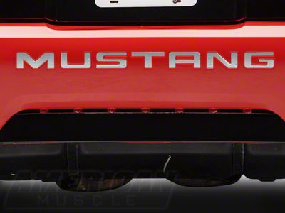 Bumper Insert Letters; Silver (99-04 Mustang GT, V6, Mach 1; 1999 Mustang Cobra)