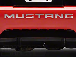 Bumper Insert Letters; Silver (99-04 Mustang GT, V6, Mach 1; 1999 Mustang Cobra)