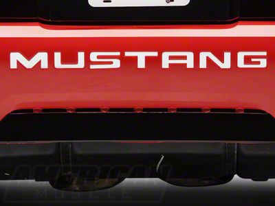 Bumper Insert Letters; White (99-04 Mustang GT, V6, Mach 1; 1999 Mustang Cobra)