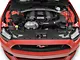 Anderson Composites Radiator Cover; Carbon Fiber (15-17 Mustang GT, EcoBoost, V6)