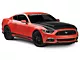 Anderson Composites Type-SN SuperSnake Style Hood; Double Sided Carbon Fiber (15-17 Mustang GT, EcoBoost, V6)