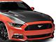 Anderson Composites Type-AT Hood; Double Sided Carbon Fiber (15-17 Mustang GT, EcoBoost, V6)