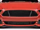Anderson Composites Type-GT Upper Grille; Carbon Fiber (15-17 Mustang GT, V6)