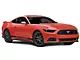 Anderson Composites Quarter Window Covers; Carbon Fiber (15-23 Mustang Fastback)