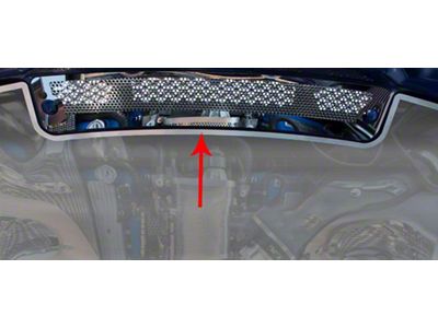 Perforated Upper Hood Vent Grille; Polished (10-14 Mustang GT500)