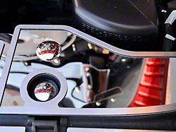 Polished/Brushed Front Engine Header Plate (15-17 Mustang GT, EcoBoost, V6)