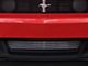 Lower Billet Grille; Polished (10-12 Mustang GT/CS; 2012 BOSS 302)