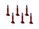 Ignition Coils; Red; Set of Six (09-10 3.5L Challenger)
