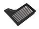 AEM Induction Intake Tube with DryFlow Replacement Air Filter (15-17 Mustang GT)