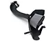 AFE Magnum FORCE Stage-2 Cold Air Intake with Pro DRY S Filter; Black (05-09 Mustang GT)