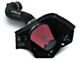 Airaid MXP Series Cold Air Intake with Red SynthaFlow Oiled Filter (05-09 Mustang GT)
