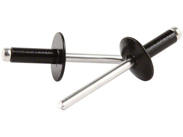 Trans Am Rivets Allstar Performance Universal AM Large Head Aluminum Rivets with 1/4 to ...