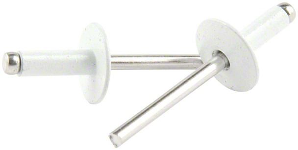 Allstar Performance Universal AM Large Head Aluminum Rivets with 1/4 to ...