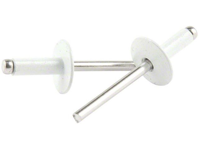 All Fast Rivets Allstar Performance Universal AM Large Head Aluminum Rivets with 1/4 to ...