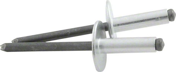 Trans Am Rivets Allstar Performance Universal AM Large Head Steel Rivets with 3/8 to 1/ ...