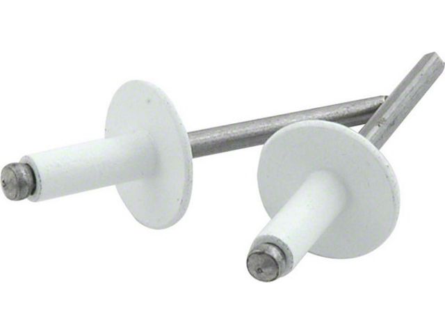 Trans Am Rivets Allstar Performance Universal AM Large Head Steel Rivets with 1/4 to 3/ ...
