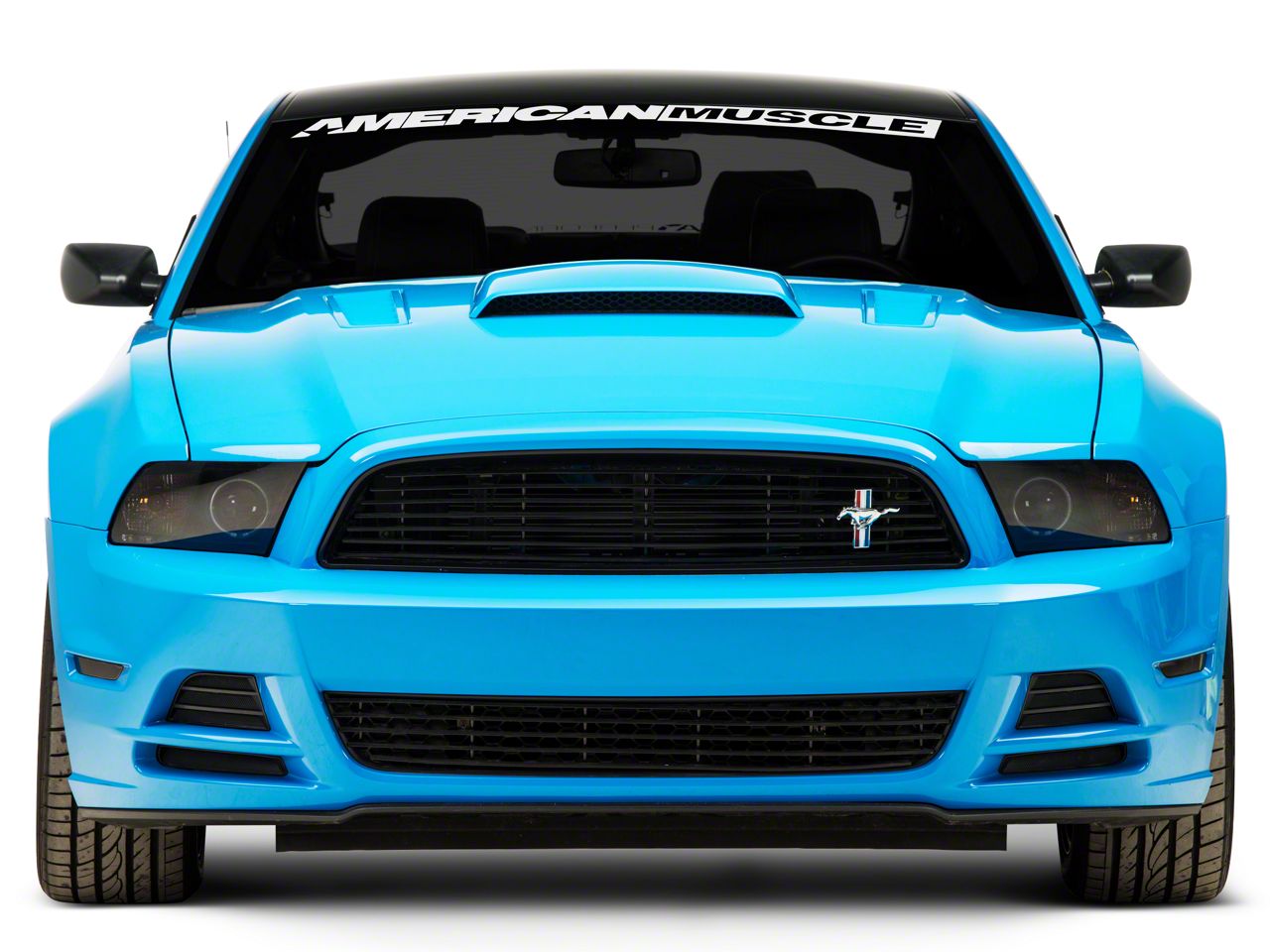 New Ford Think Windshield – NEV ACCESSORIES.COM – Free Shipping – Part 2E38-V03100-AB GYN