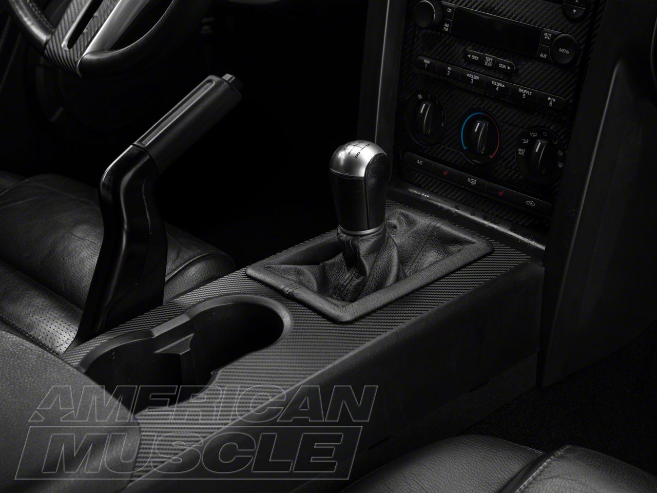 SEC10 Mustang Dash Overlay Kit; Carbon Fiber 383737 (0509 Mustang