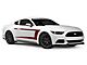 SEC10 Side Stripes; Red (15-23 Mustang)