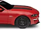SEC10 Hood Stripes; Black Carbon Fiber (18-23 Mustang GT, EcoBoost)