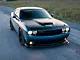 SEC10 AmericanMuscle Windshield Banner; Frosted (08-23 Challenger)