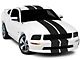 SEC10 GT500 Style Stripes; Anthracite; 10-Inch (05-14 Mustang)