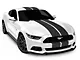 SEC10 GT500 Style Stripes; Anthracite; 10-Inch (15-23 Mustang)