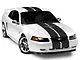 SEC10 GT500 Style Stripes; Anthracite; 10-Inch (94-04 Mustang)