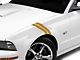 SEC10 Hash Marks; Gold (05-14 Mustang)