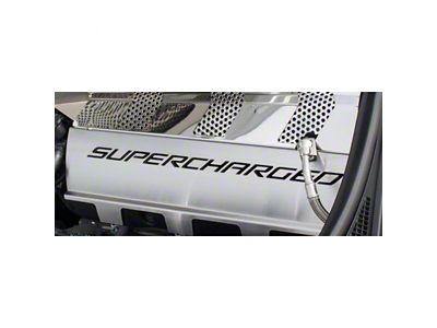 Fuel Rail Covers; Black Carbon Fiber (15-19 Corvette C7 Z06)