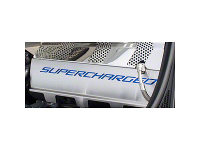 Fuel Rail Covers; Blue Carbon Fiber (15-19 Corvette C7 Z06)