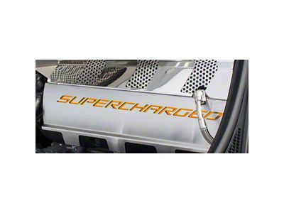 Fuel Rail Covers; Orange Carbon Fiber (15-19 Corvette C7 Z06)
