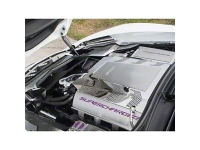 Fuel Rail Covers; Purple Carbon Fiber (15-19 Corvette C7 Z06)