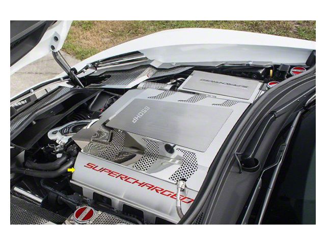 Fuel Rail Covers; Red Carbon Fiber (15-19 Corvette C7 Z06)