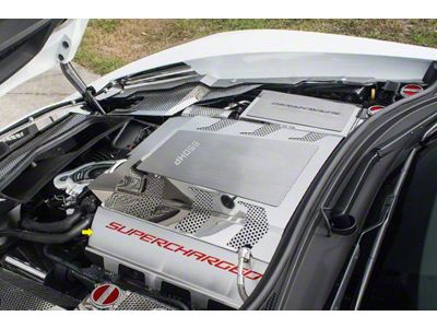 Fuel Rail Covers; Red Carbon Fiber (15-19 Corvette C7 Z06)