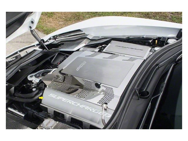 Fuel Rail Covers; White Carbon Fiber (15-19 Corvette C7 Z06)