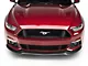 Anderson Composites Type-AC Front Chin Splitter; Carbon Fiber (15-17 Mustang GT, EcoBoost, V6)