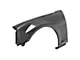 Anderson Composites Type-SS Style Front Fenders; Carbon Fiber (10-15 Camaro, Excluding Z/28)